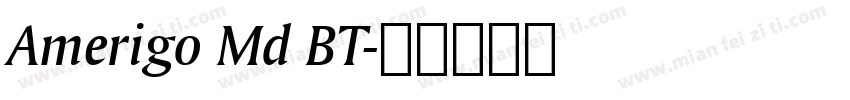 Amerigo Md BT字体转换
